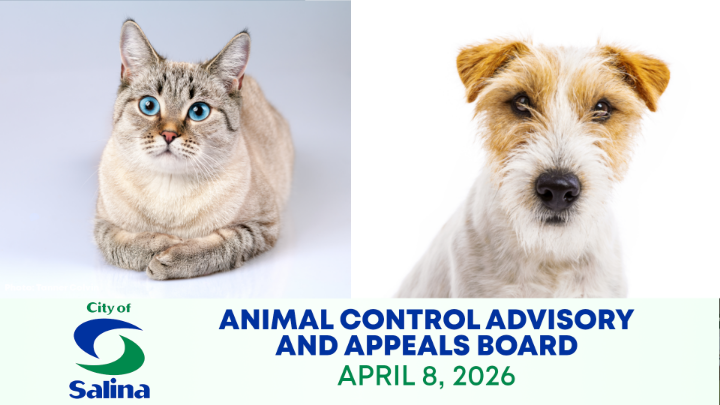 Thumbnail image for Animal Control Advisory and Appeals Board April 8, 2026